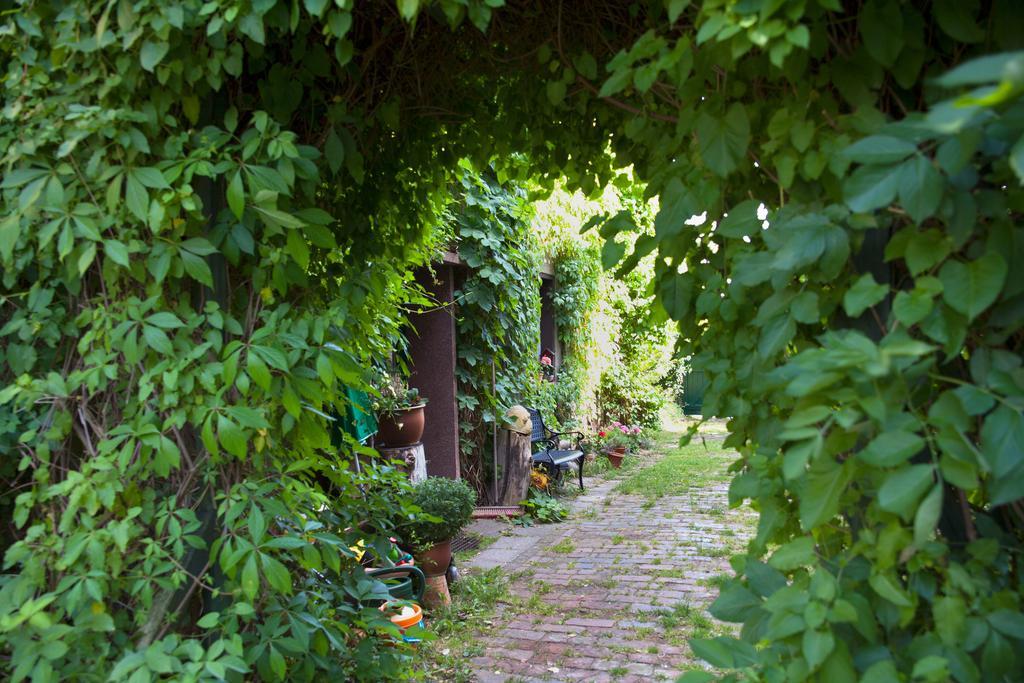 Pension Altstadt Borna Luaran gambar
