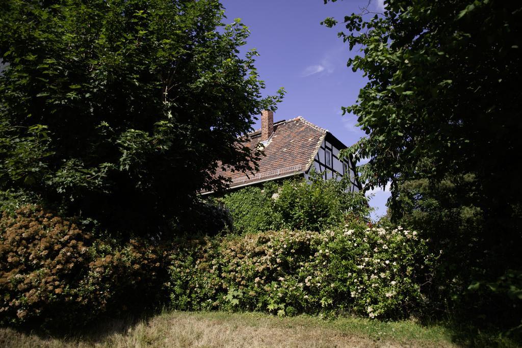 Pension Altstadt Borna Luaran gambar